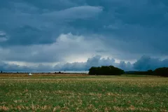 3179-_DSF9732-1440px